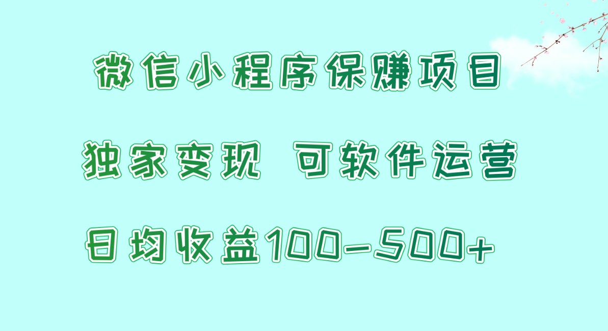 微信小程序保赚项目，日均收益100~500+，独家变现，可软件运营-源码网