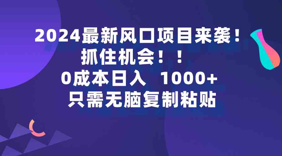 （9899期）2024最新风口项目来袭，抓住机会，0成本一部手机日入1000+，只需无脑复…-源码网